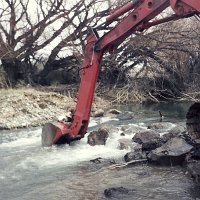 bacheo